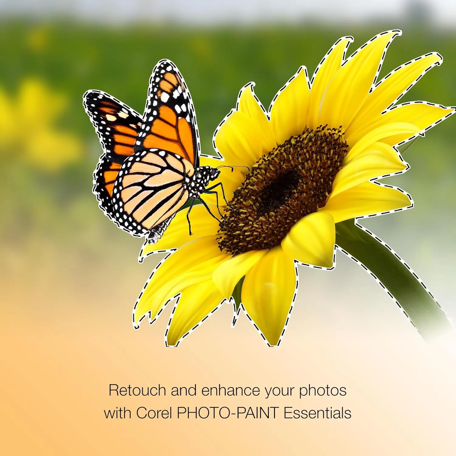 CorelDRAW Essentials 2024 | Graphics Design Software for Occasional Users | Illustration, Layout, and Photo Editing [PC Key Card]